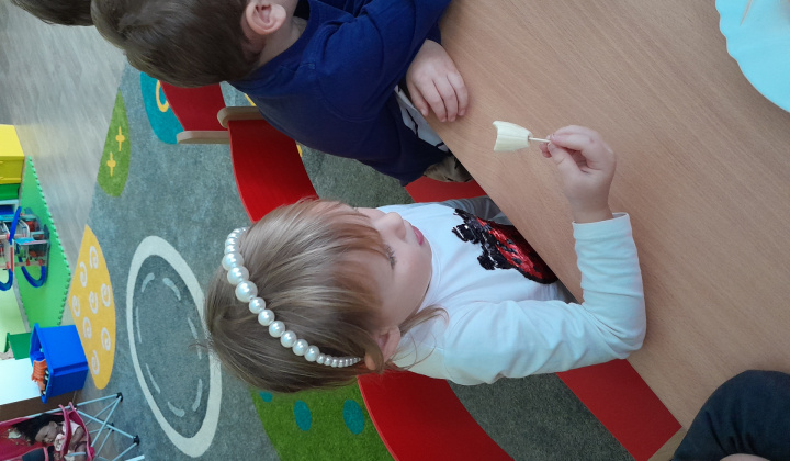 Naše veselé a zdravé špáradla 
