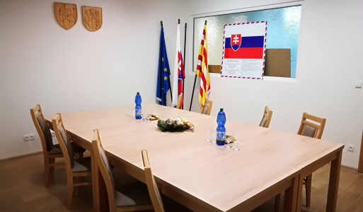 Ustanovujúce zastúpiteľstvo 
