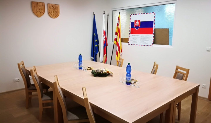 Ustanovujúce zastúpiteľstvo