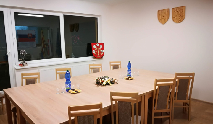 Ustanovujúce zastúpiteľstvo