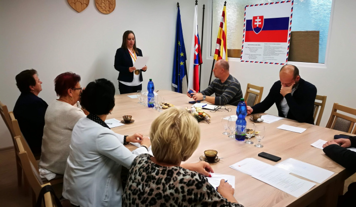Ustanovujúce zastúpiteľstvo